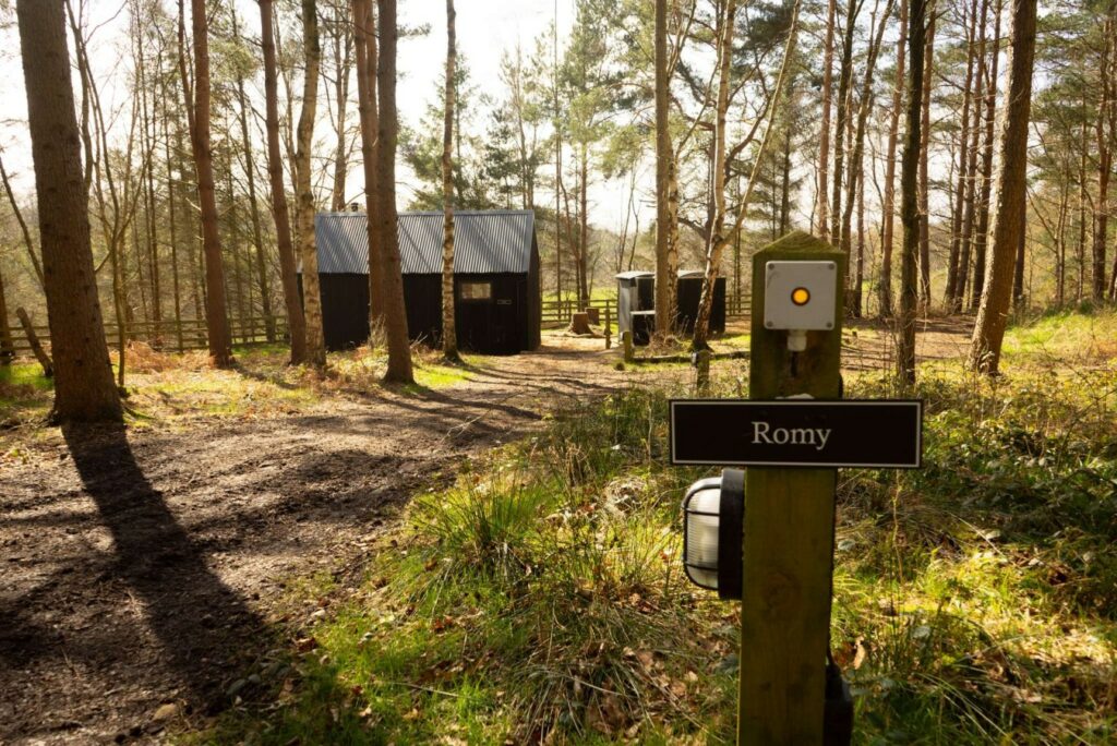 Romy, The Lost Cabins