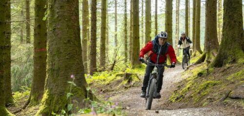 Mountain Biking Whinlatter