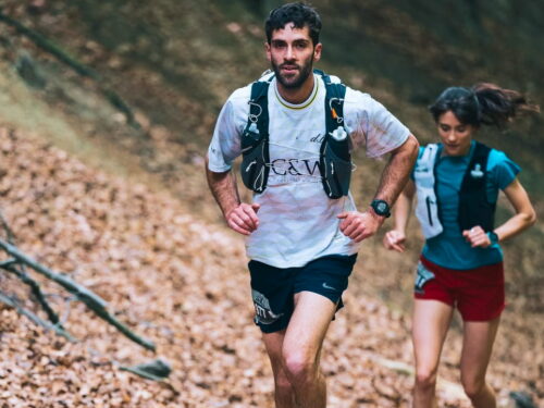 Run Wild At Edenhall Estate
